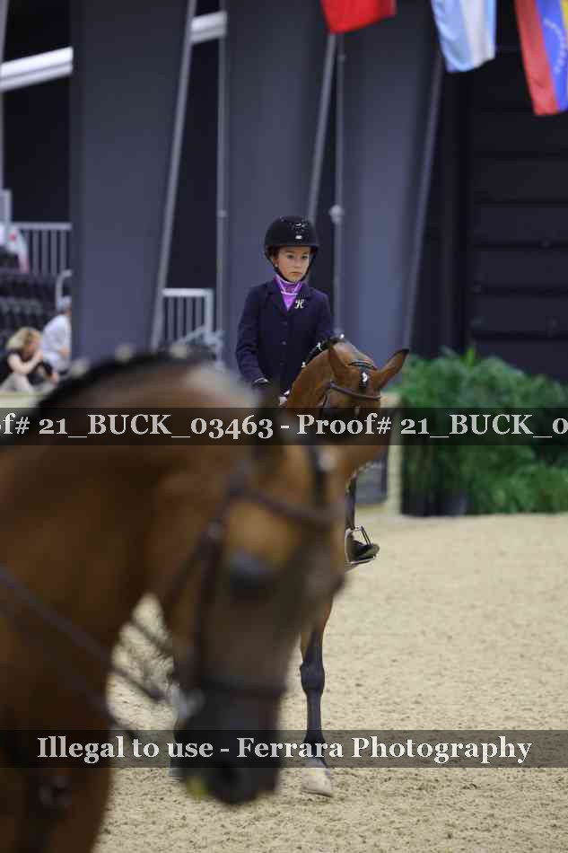 Proof 21_BUCK_03463