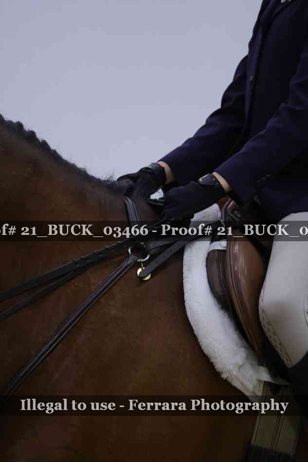 Proof 21_BUCK_03466