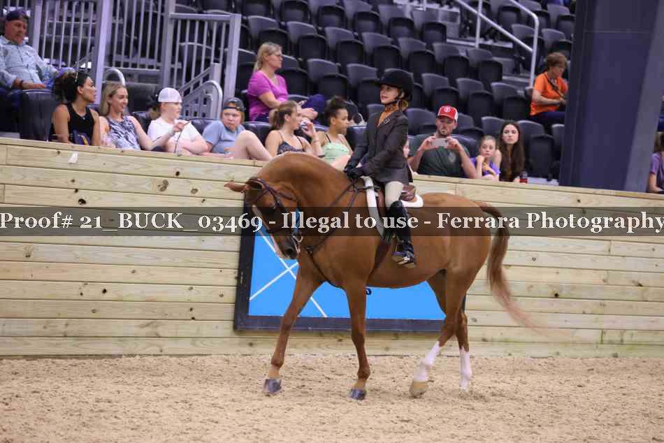 Proof 21_BUCK_03469