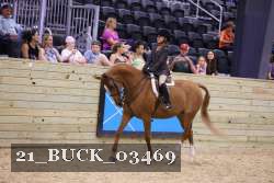 21_BUCK_03469 proof
