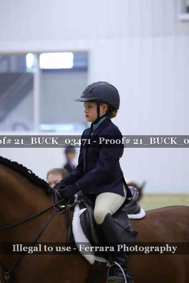 Proof 21_BUCK_03471