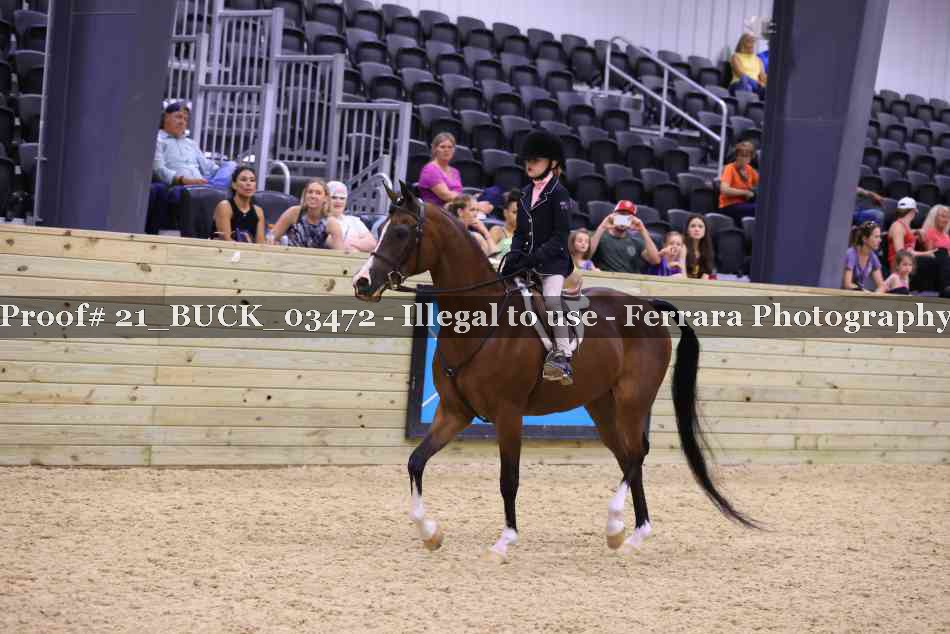 Proof 21_BUCK_03472