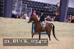 21_BUCK_03472 proof