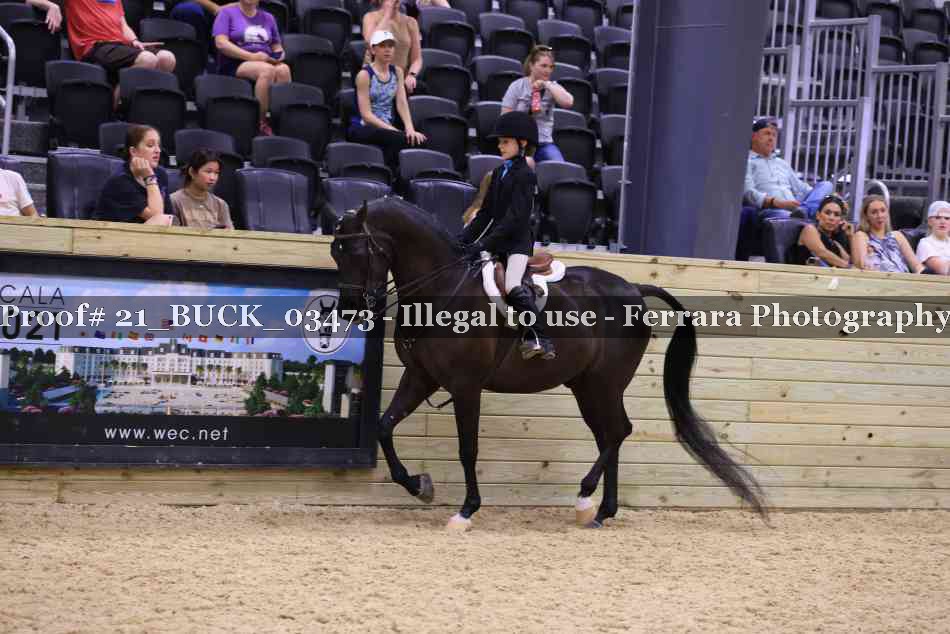 Proof 21_BUCK_03473