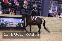 21_BUCK_03473 proof