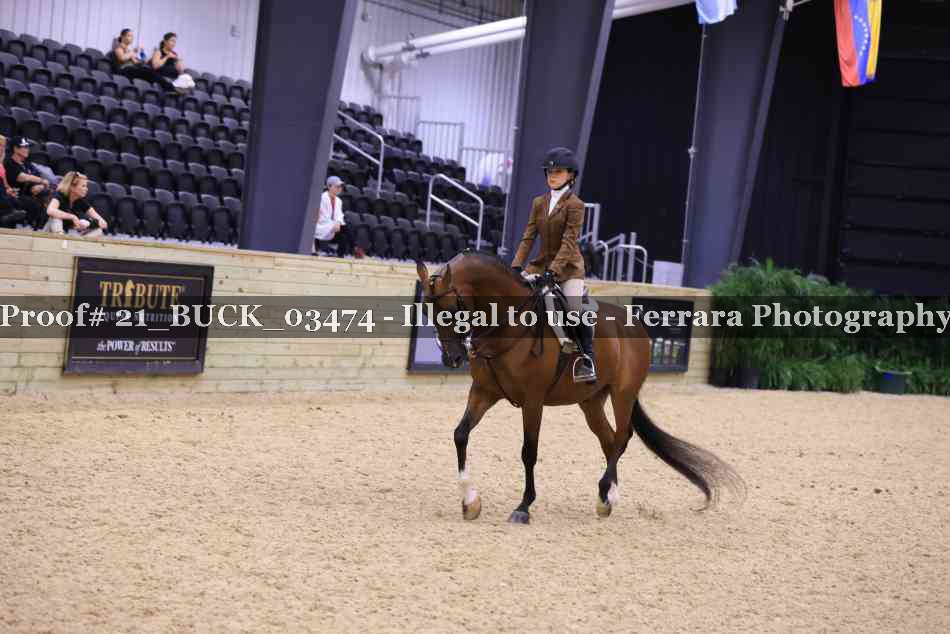 Proof 21_BUCK_03474