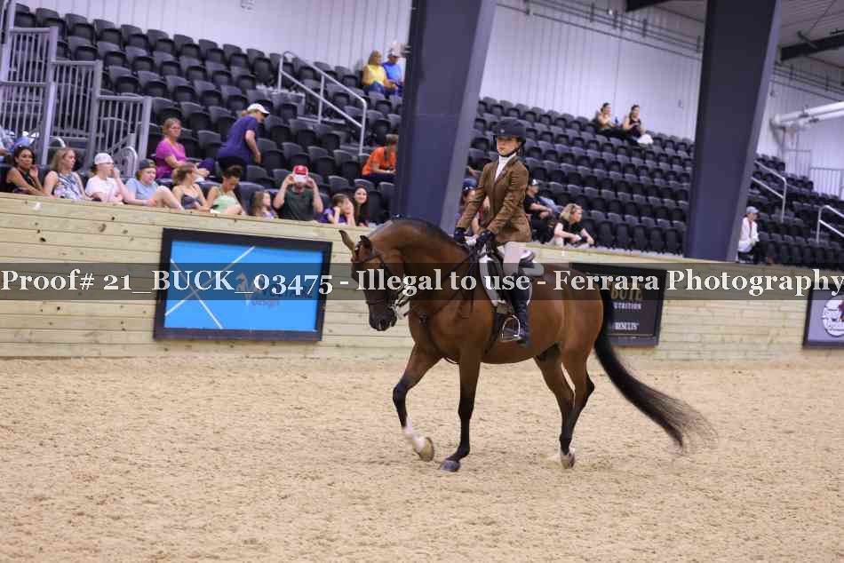 Proof 21_BUCK_03475