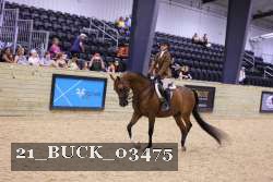 21_BUCK_03475 proof