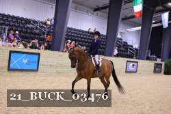 21_BUCK_03476 proof
