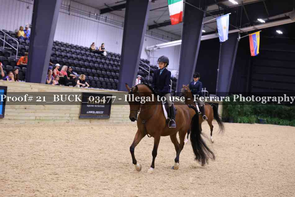 Proof 21_BUCK_03477