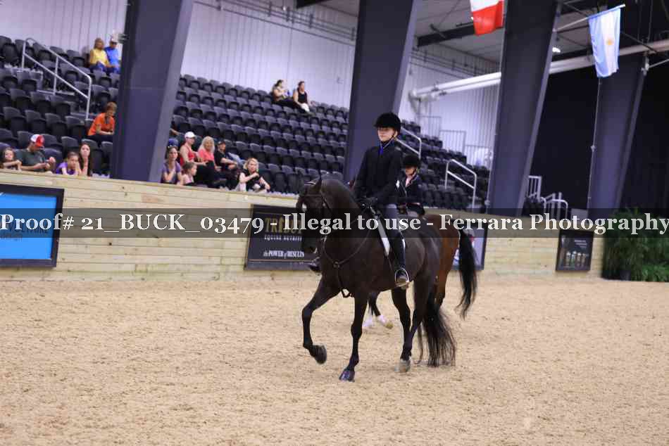 Proof 21_BUCK_03479