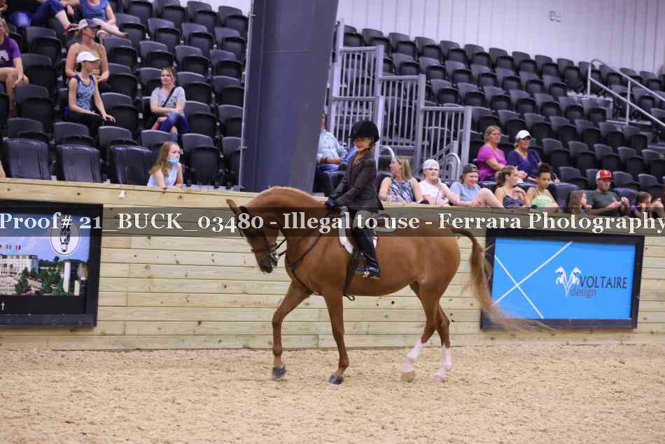 Proof 21_BUCK_03480