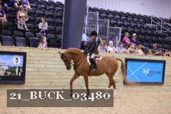 21_BUCK_03480 proof