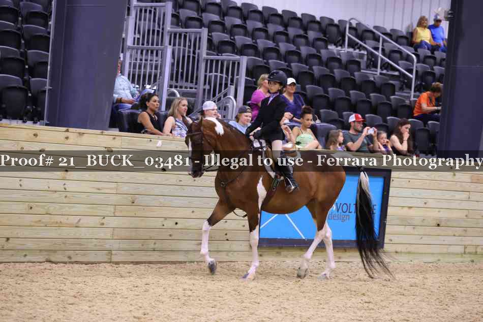 Proof 21_BUCK_03481