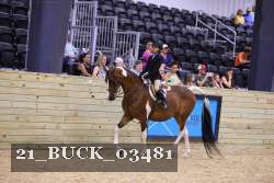 21_BUCK_03481 proof