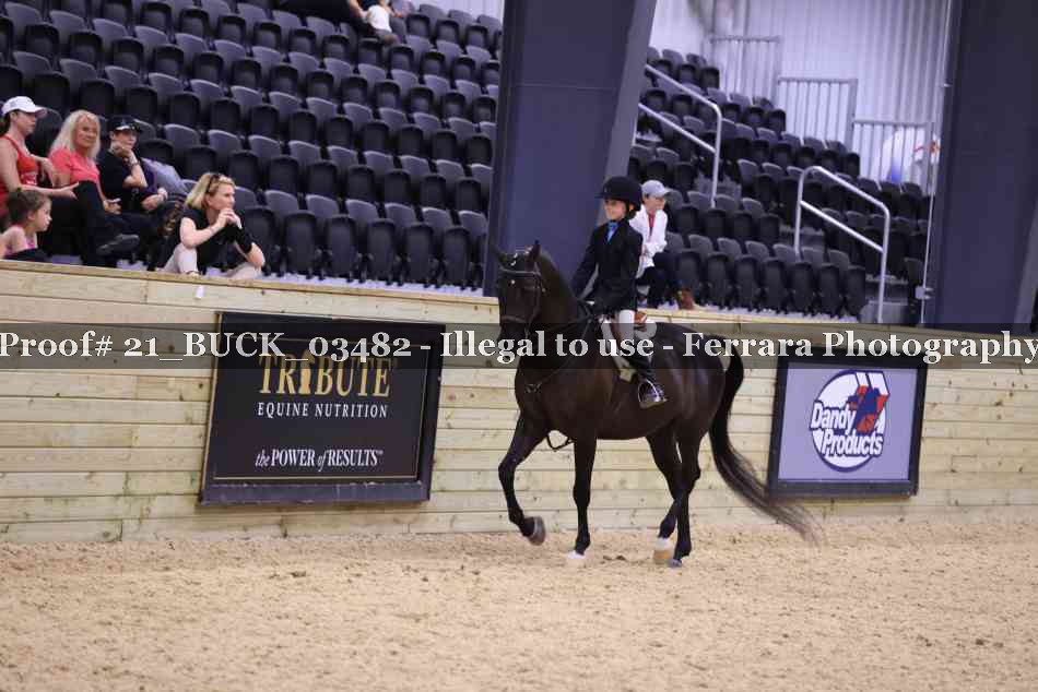 Proof 21_BUCK_03482