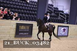 21_BUCK_03482 proof