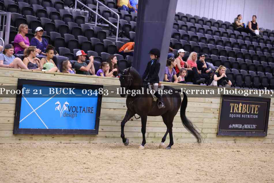 Proof 21_BUCK_03483