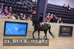 21_BUCK_03483 proof