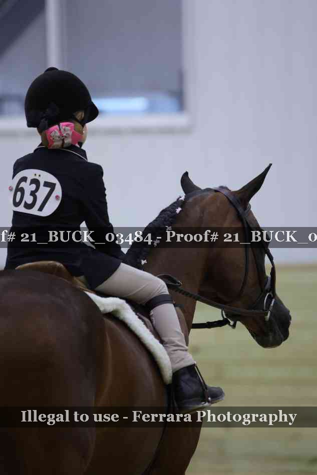 Proof 21_BUCK_03484