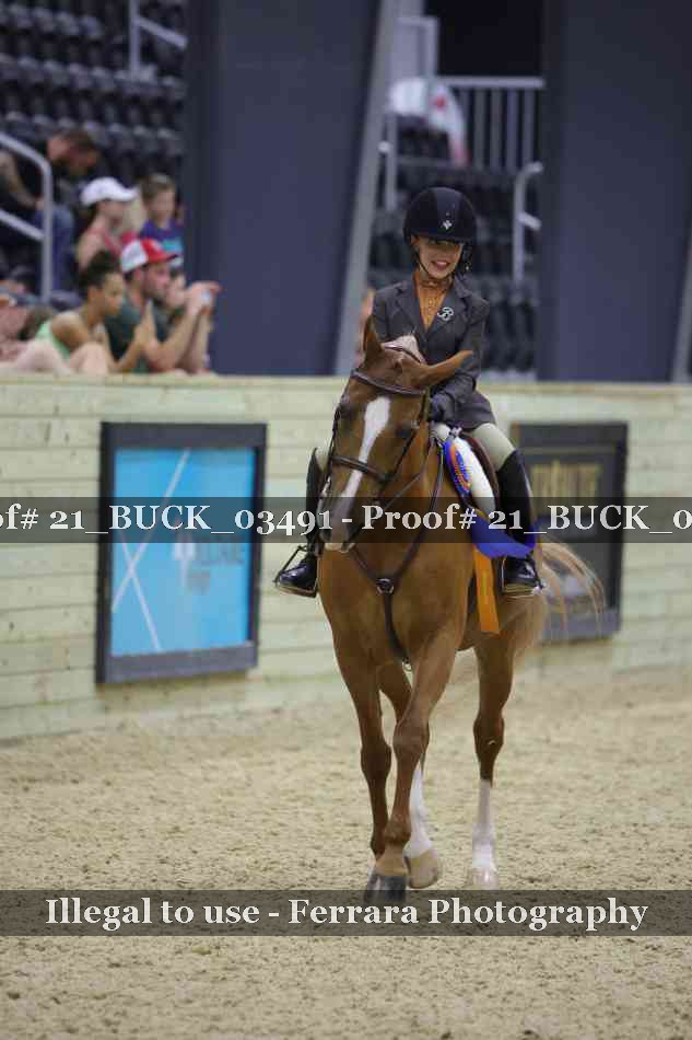 Proof 21_BUCK_03491