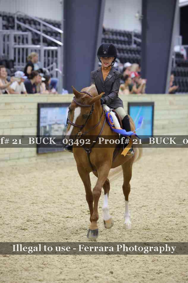 Proof 21_BUCK_03492