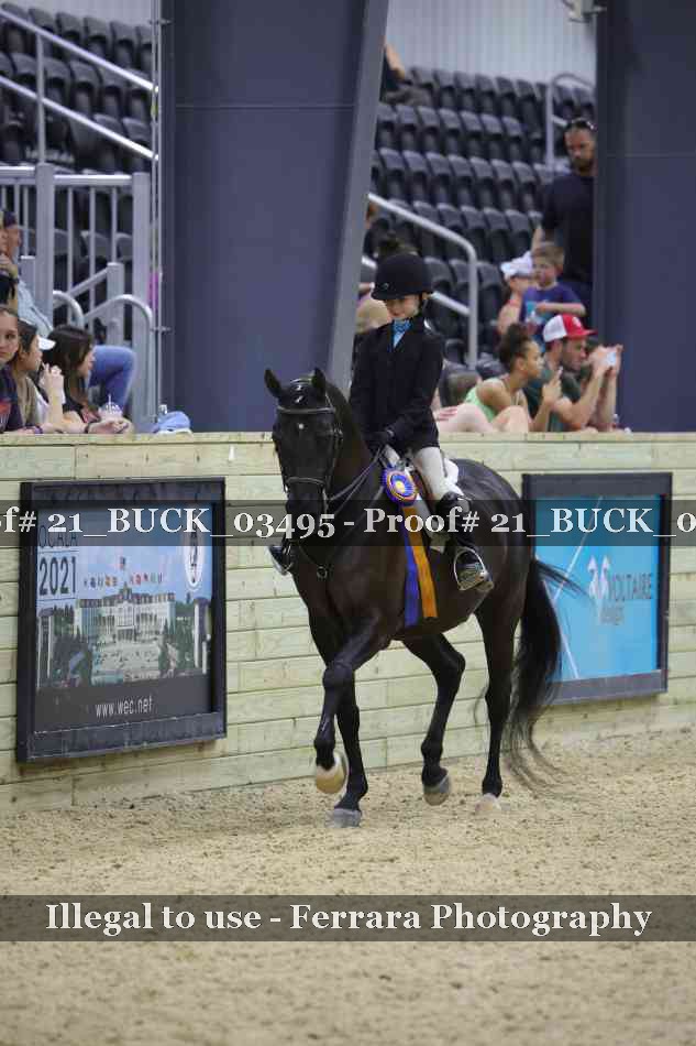 Proof 21_BUCK_03495