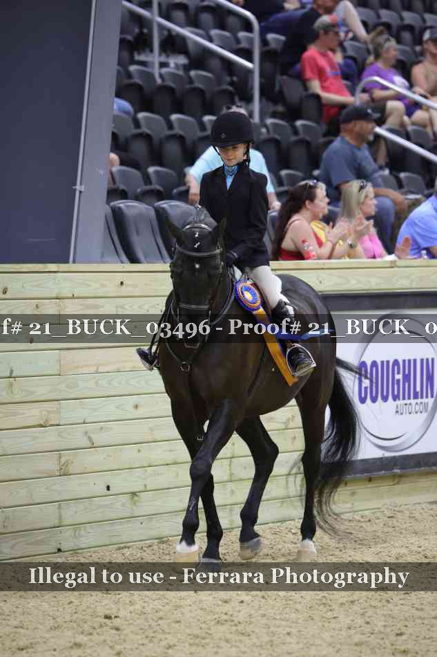 Proof 21_BUCK_03496