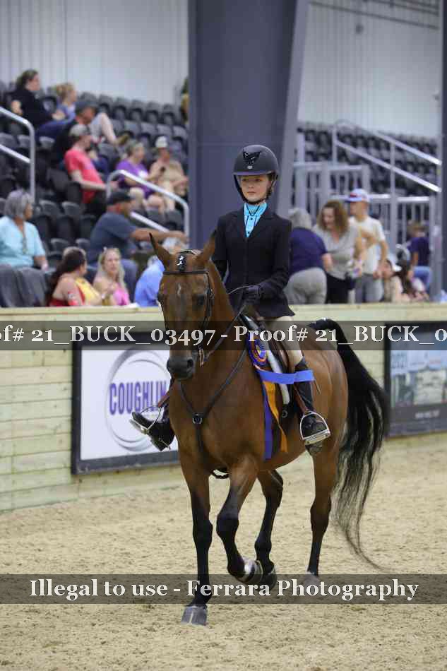 Proof 21_BUCK_03497