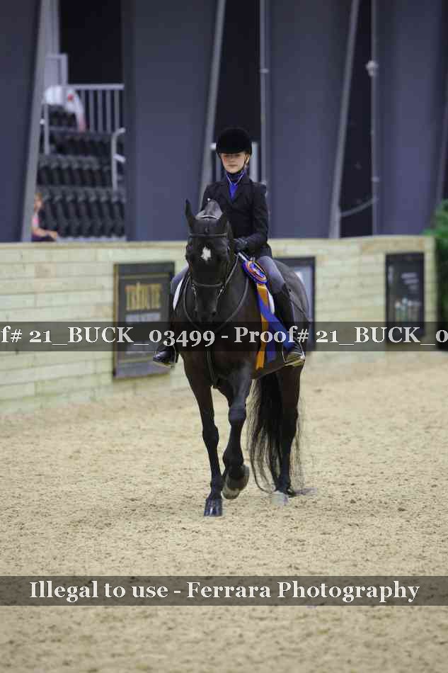 Proof 21_BUCK_03499