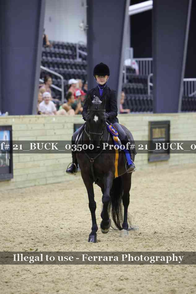 Proof 21_BUCK_03500