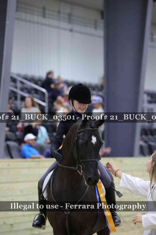 Proof 21_BUCK_03501