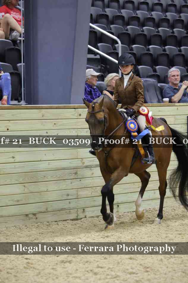 Proof 21_BUCK_03509