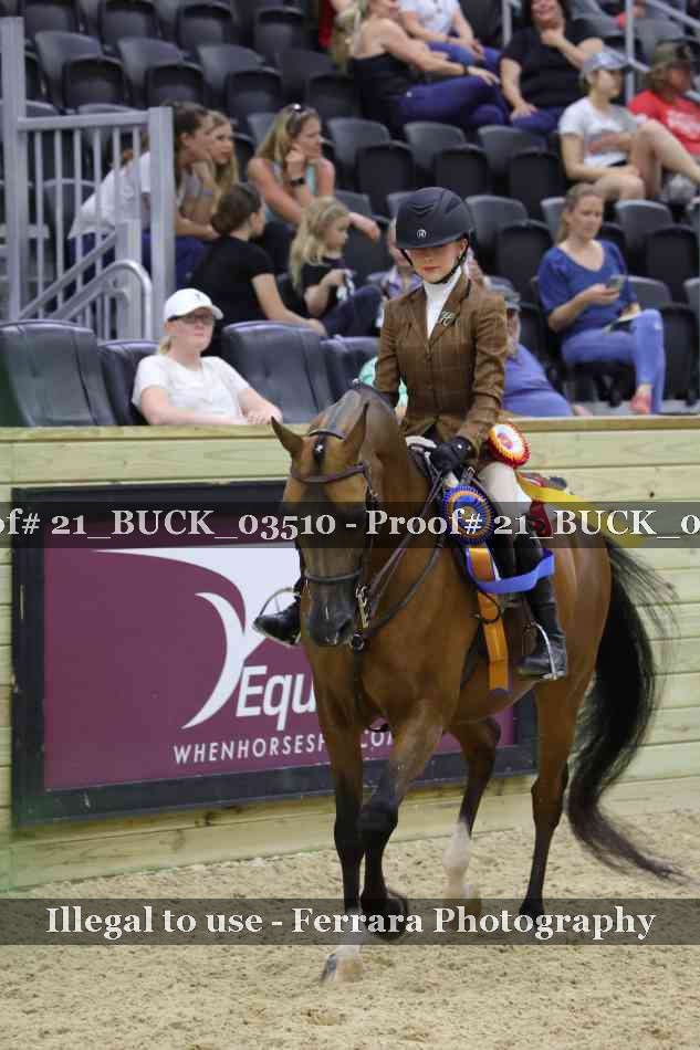 Proof 21_BUCK_03510