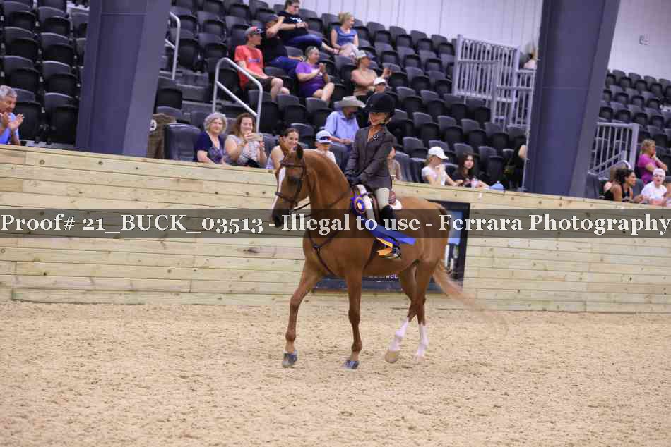 Proof 21_BUCK_03513