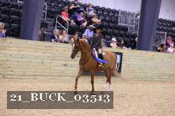 21_BUCK_03513 proof