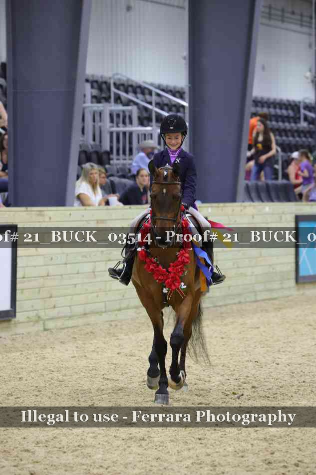 Proof 21_BUCK_03514