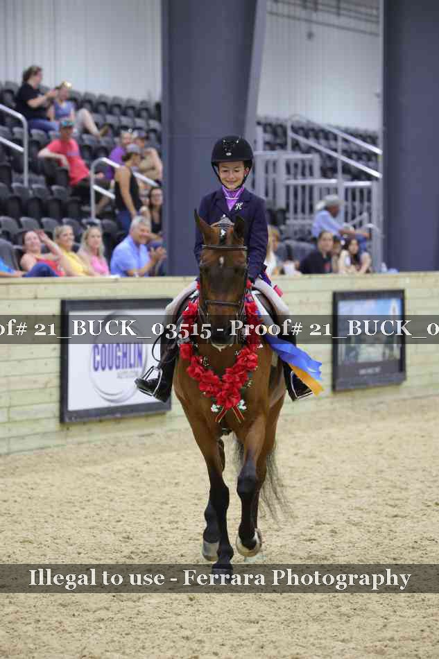 Proof 21_BUCK_03515