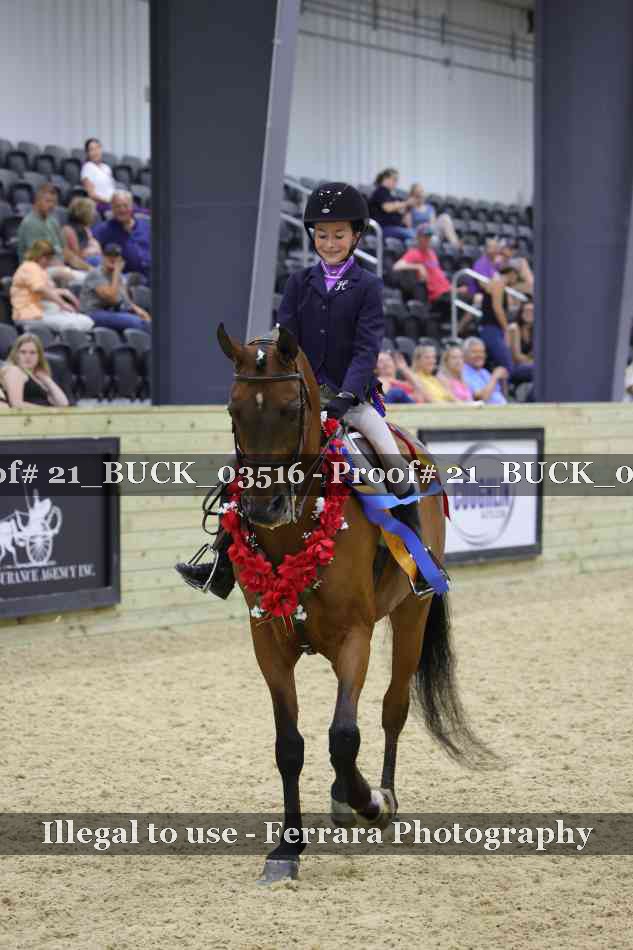 Proof 21_BUCK_03516