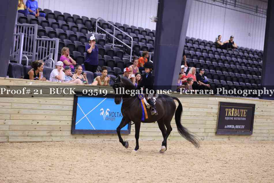 Proof 21_BUCK_03519