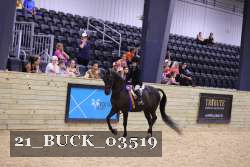 21_BUCK_03519 proof