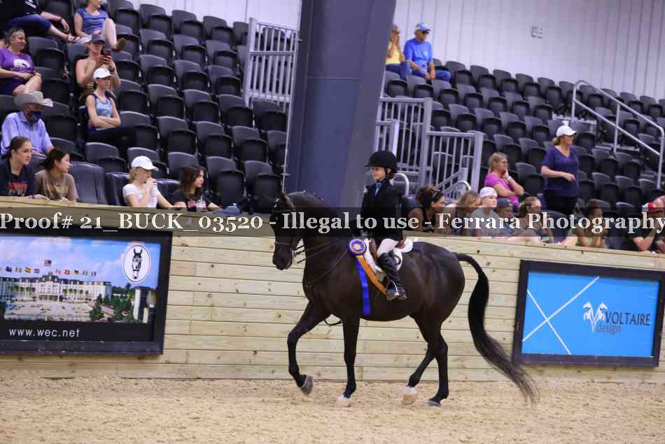 Proof 21_BUCK_03520