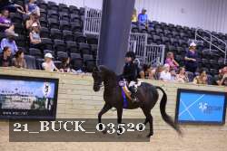 21_BUCK_03520 proof
