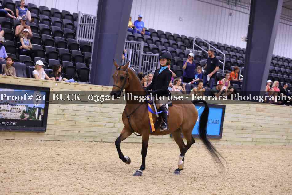 Proof 21_BUCK_03521