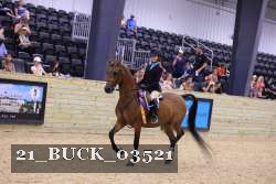 21_BUCK_03521 proof