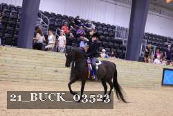 21_BUCK_03523 proof
