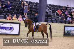 21_BUCK_03524 proof