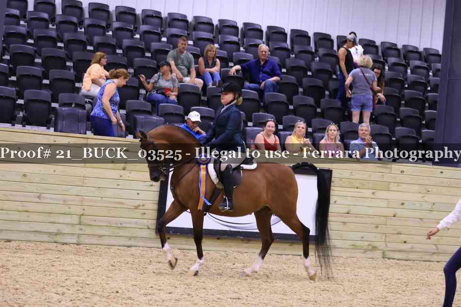 Proof 21_BUCK_03525