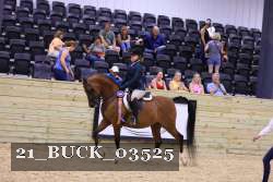 21_BUCK_03525 proof