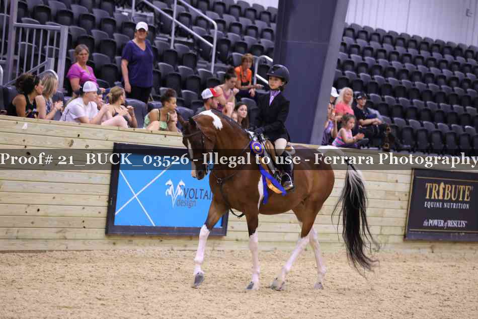 Proof 21_BUCK_03526